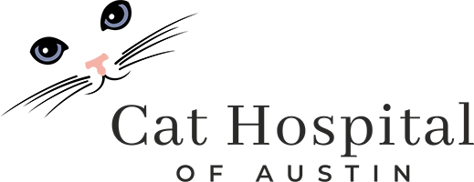 Cat Hospital of Austin