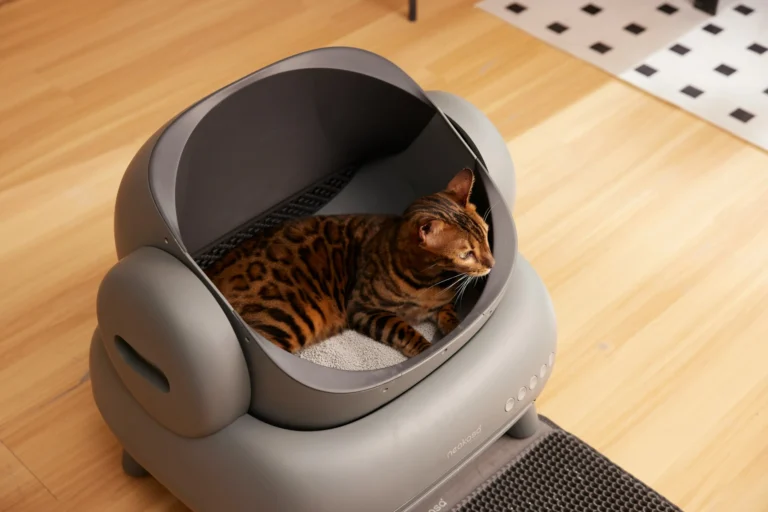 The Ultimate Guide to Choosing the Right Litter Box